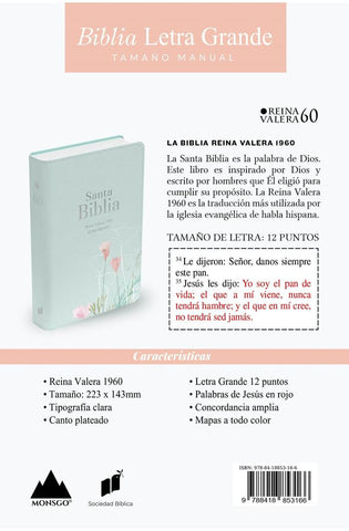 Image of Biblia RVR 1960 Letra Grande Tamaño Manual Símil Piel Menta Fresca