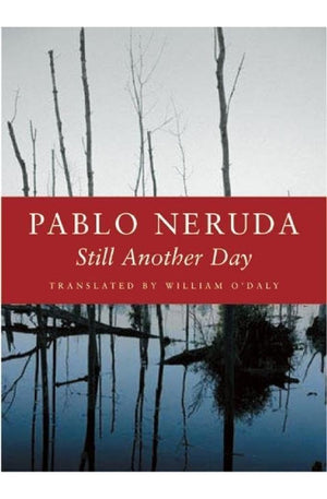 Still Another Day (Spanish and English Edition)
