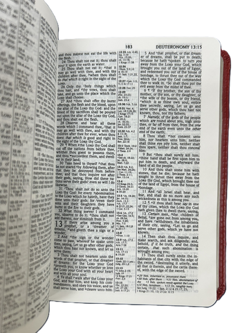 Image of KJV HOLY BIBLE COMPACT DUOTONE PINK