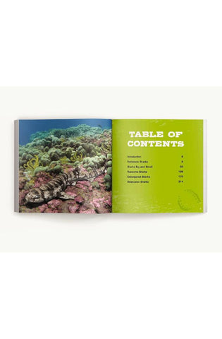 Image of The Little Chunky Book of Sharks: Hundreds of Fun Facts Spanning the Seven Seas