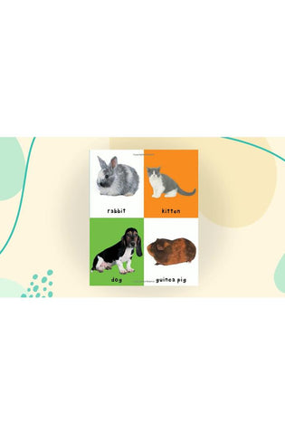Image of First 100 Animals