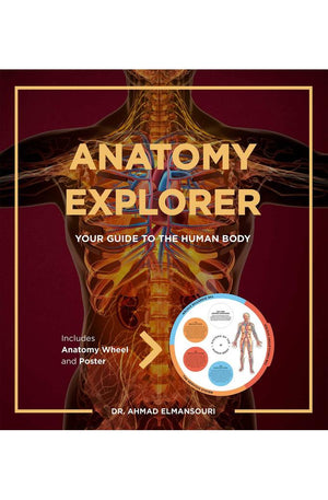 Anatomy Explorer