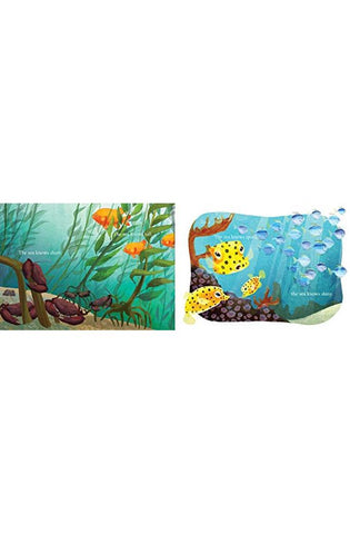 Image of The Sea Knows