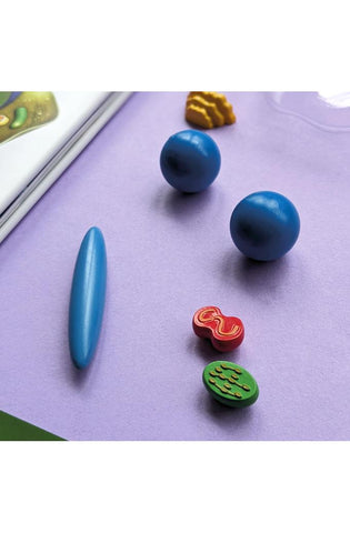 Image of Wonders of Learning WOLNBS25 6" Educational Box Set