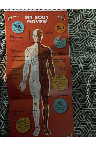 Image of The Human Body Book