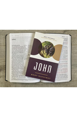 Image of John: Responding to the Incomparable Story of Jesus (New Testament Everyday Bible Study Series)
