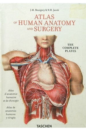 Bourgery, Atlas Anatomy (Cos)
