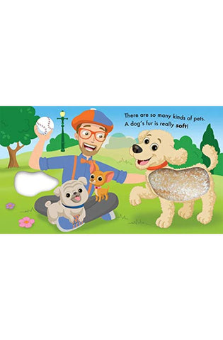 Image of Blippi: Pets (Touch and Feel)