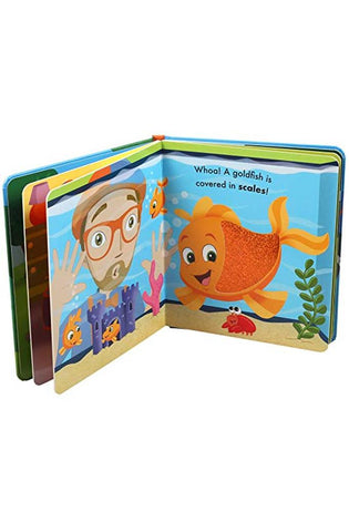 Image of Blippi: Pets (Touch and Feel)
