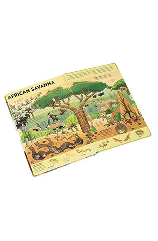 Image of Expandable Explorations: Wild World