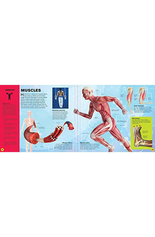 Image of The Ultimate Interactive Guide to the Human Body