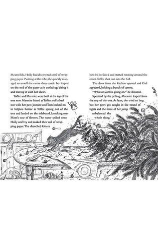 Image of Jasmine Green Rescues: A Kitten Called Holly