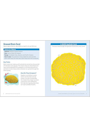 Image of Marine Biology Activities for Kids: Mazes, Word Searches, Crossword Puzzles, and More!