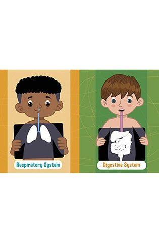 Image of Human Body (Jumbo Stickers for Little Hands, Bk. 1)