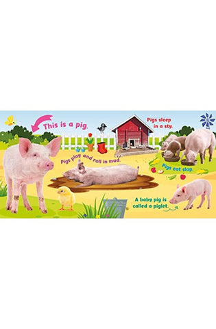 Image of Farm (First Animal Facts, 5 Button Soundboard)
