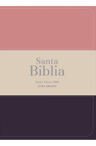 Image of Biblia RVR 1960 Compacta Letra Grande 11 puntos Símil Piel Melon Beige Granate Oscuro