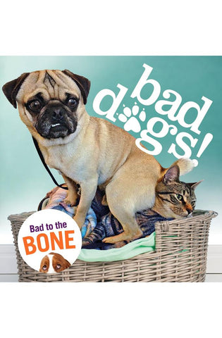 Image of Bad Dogs