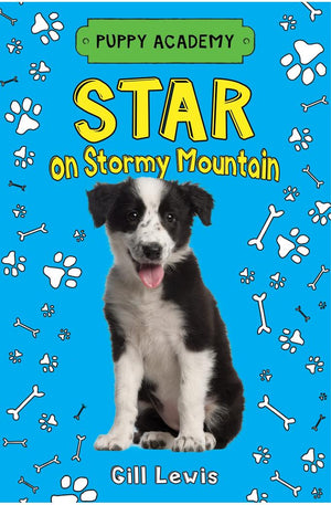 Star on Stormy Mountain (Puppy Academy, 2)